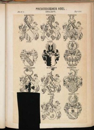 Taf. 422. Schwertzel. - Schwicheld. - Schwichow. - Scott. - Scriba. - Scriver. - Sebottendorf. - Seckendorff. - Secyminski. - [...]. - Seebach. - Seebeck 1871