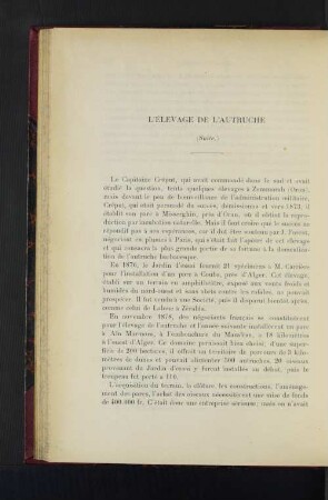 L'Élevage De L'Autruche.
