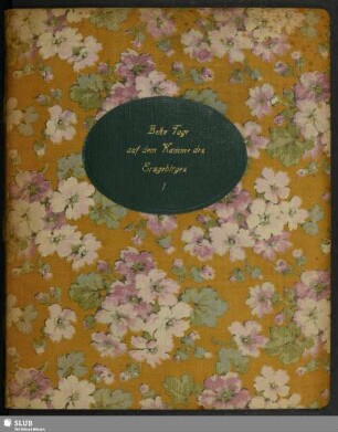 I. Band: Zehn Tage auf dem Kamme des Erzgebirges : Sommer 1907