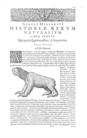 Georgi Marcgravi Historiae Plantarum Liber Sextus, qui agit de Quadrupedibus, & Serpentibus