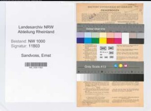 Entnazifizierung Ernst Sandvoss, geb. 16.05.1902 (Vers.Angest.)
