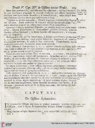 Caput XVI: De Ossibus Sesamoïdeïs