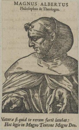 Bildnis des Magnus Albertus