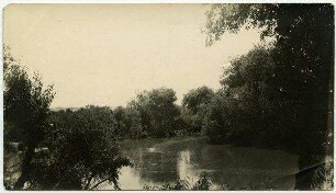 […] an der Taufstelle [hadschla-Furt, Jordan]. [Bäume]