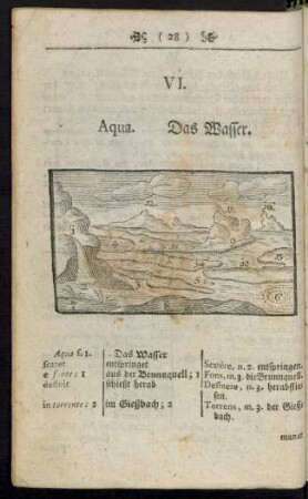 VI. Aqua. Das Wasser
