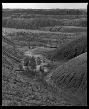 Haldenlandschaft, Tagebau Greifenhain