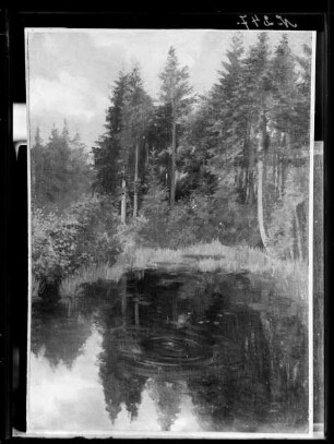 Waldlandschaft mit Teich