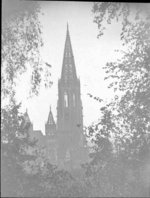 Der Freiburger Münsterturm