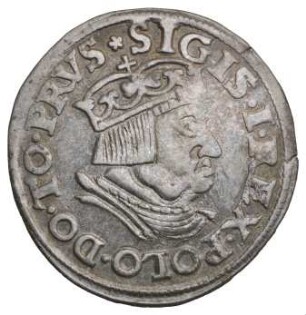 Polen: Dreigröscher 1536
