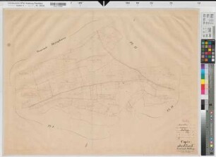 Padberg (Marsberg), Separation Padberg, Bl. 7 Brouillonkarte Flur 10