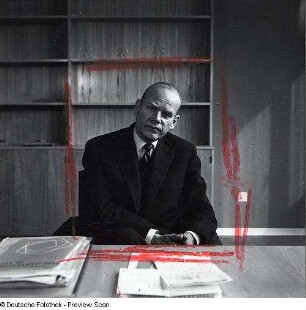 Portraitserie Wolfgang Stresemann