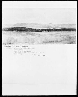 Landschaft