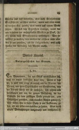 Viertes Kapitel. Naturgeschichte der Bienen
