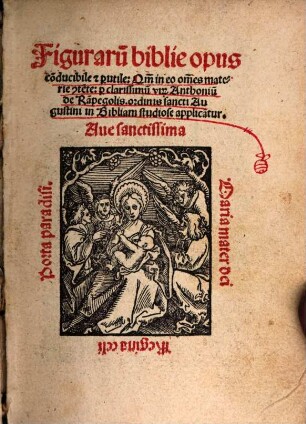 Figuraru[m] biblie opus co[n]ducibile et p[er]utile