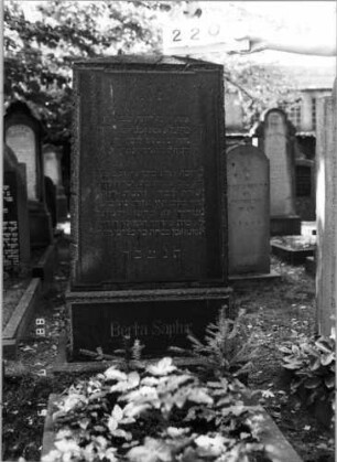 Grabstein 220 (Index: 100094421) Material: Granit Zustand: gut Maße HxBxT: 155x64x32 cm Beschreibung: Stele, getreppter Sockel, obeliskenartiger abgeflachter Abschluß, Schriftfeld Besonderheit: 7-zeiliger Reim: Grabstein 220