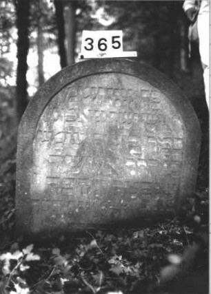 Grabstein 365 (Index: 100113371) Material: Sandstein Maße HxBxT: 81x76x5 cm Besonderheit: kulturhistorisch wertvoll / hist.-wiss. Gründe: Grabstein 365