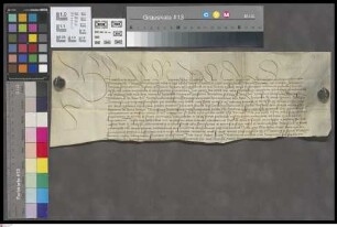 Bingen: Confirmatio Bertholdi Archiepiscopie Moguntini privilegiorum Capituli ecclesie St. Martini Pinguensis