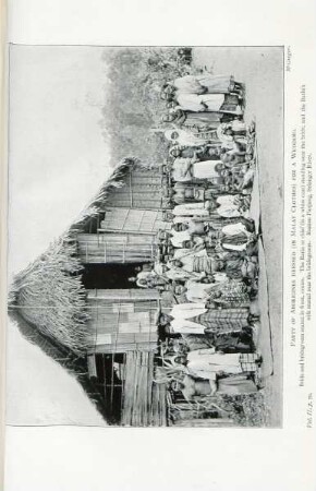 Party of Aborigines dressed (in Malay clothes) for a wedding
