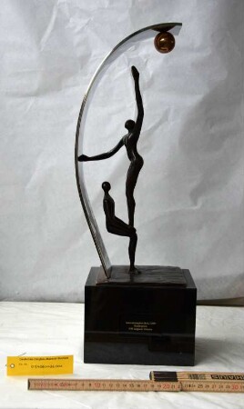 Innovationspreis RAG 2009 (Sonderpreis)