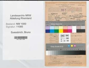Entnazifizierung Bruno Suessbrich, geb. 03.10.1878 (Vers.Angest.)