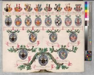 Proband: Brabeck, Hermann Werner von; Vater: Brabeck, Jobst Edmund von; Mutter: Kerckerinck, Felizitas Maria Mauritia von: Mark, Grafschaft, Ritterschaft