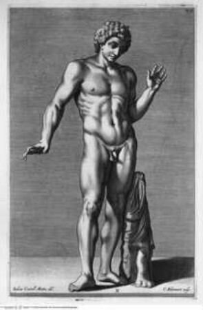 Aedes Barberinae ad Quirinalem. A Comite Hieronymo Tetio Perusino descriptae., Tafel N (S.219): Narcissus (nach der Antike)