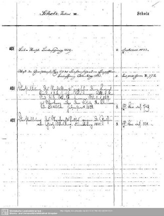 Scholz, Julius