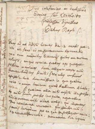 Brief 13