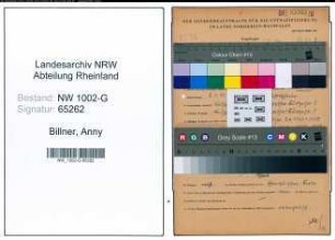 Entnazifizierung Anny Billner, geb. 05.01.1919 (Schneiderin)
