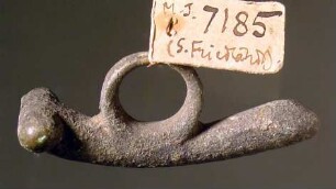 Phallus mit Ring