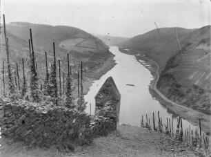 Neef, Mosel : Neef. Blick von Petersberg aus nach Neef