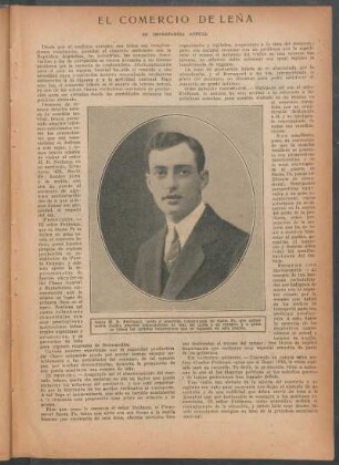 El comercio de leña - su importancia actual