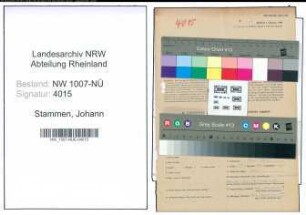 Entnazifizierung Johann Stammen , geb. 19.09.1892 (Buchhalter)
