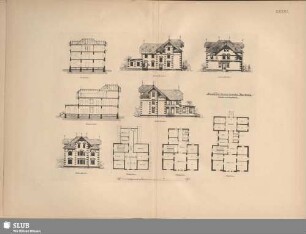 XXXIII. Villa für unruhige Kranke