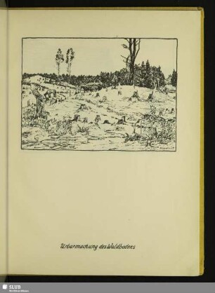 Urbarmachung des Waldbodens