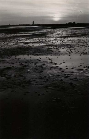 Insel Neuwerk, Watt