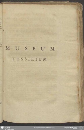 Museum Fossilium