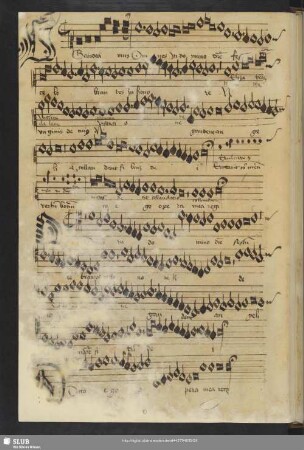 [Anon.:] Gaudeamus omnes