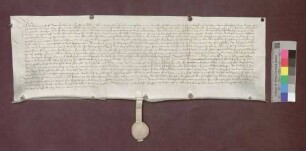 Hans Christoph von Falkenstein übernimmt von Abt Diethelm von St. Gallen Schloß Schneeburg mit dem Bauhof etc. bei Ebringen als ein freies Lehen.