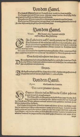 Von dem Hamel. Vervex. Ein Hamel/ oder Hammel/ etlich so auff den Alpen. Ein Frischling.