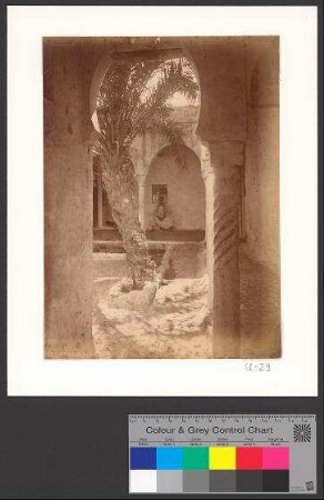 Cour Mauresque Alger