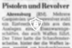 Einbrecher erbeutete Pistolen und Revolver
