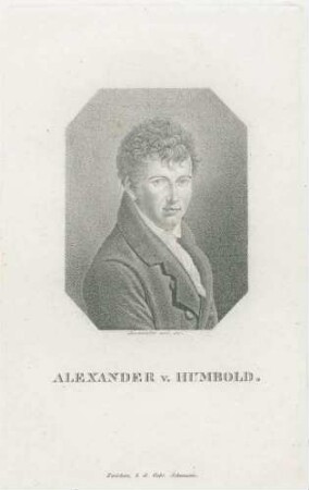 ALEXANDER v. HUMBOLD.