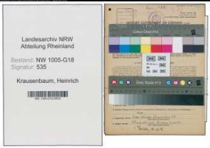 Entnazifizierung Heinrich Krausenbaum , geb. 12.05.1893 (Schuhmacher)
