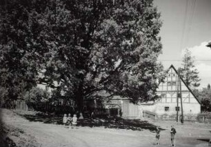 Goppeln-Kauscha (Kreis Freital) Dreiseithof‚ Nr. 10 Straßenfront mit mächtiger Eiche (belaubt) (Roh-OCR/Texterkennung von Bildkarte) : Goppeln-Kauscha. Dreiseithof Nummer 10. Straßenfront mit mächtiger Eiche (belaubt)