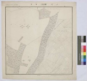 [Gemeindewaldung in der Steuergemeinde Birkenfeld, Topograph. Karte 1:2500]