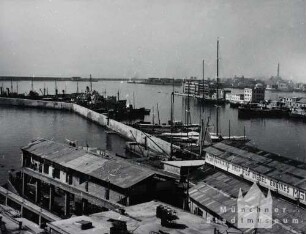 Genua. Alter Hafen
