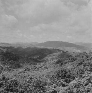 Landschaft : Blick über die Landschaft