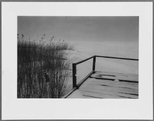 Am Lebasee, Polen