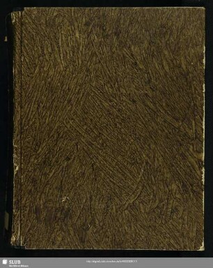 Meistergesangbuch - Mscr.Dresd.M.186